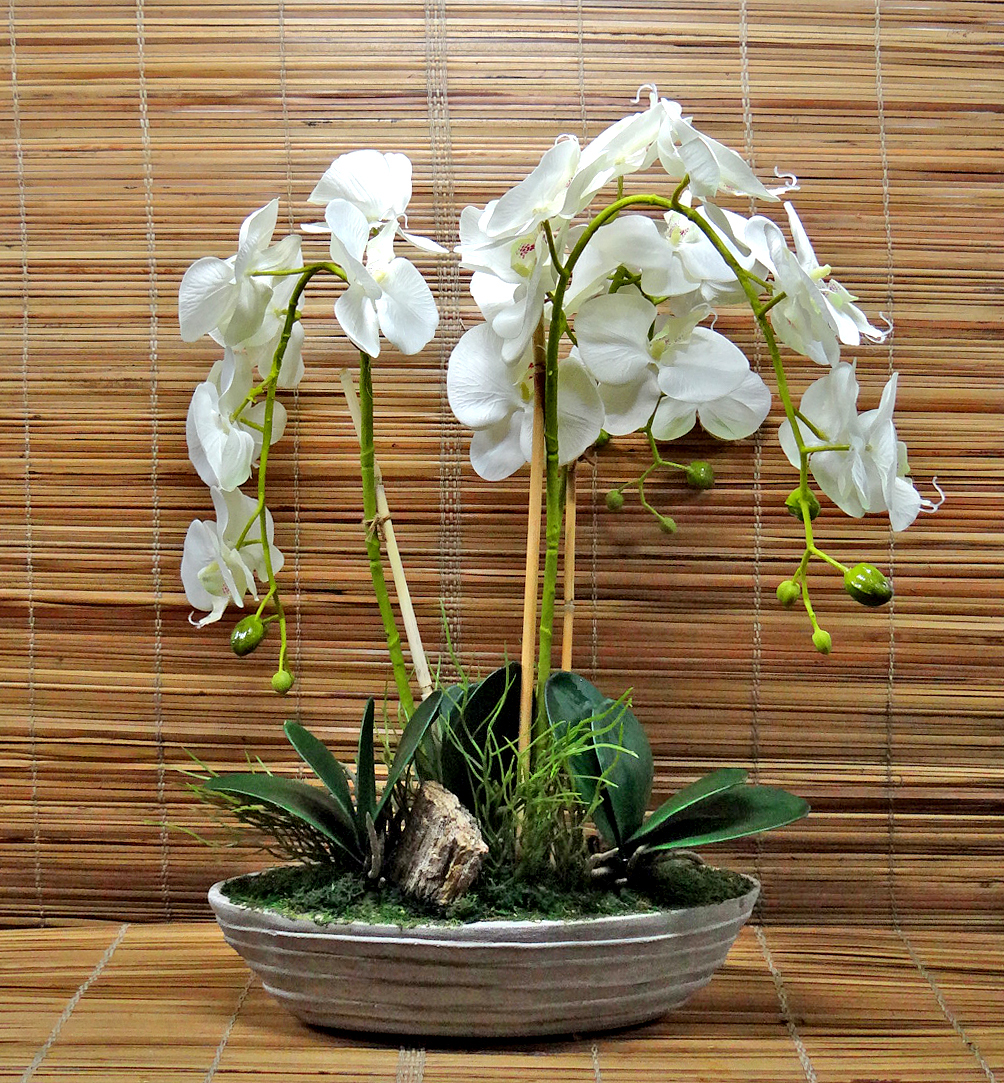 bile-orchideje-v-misce-kvetinova-dekorace